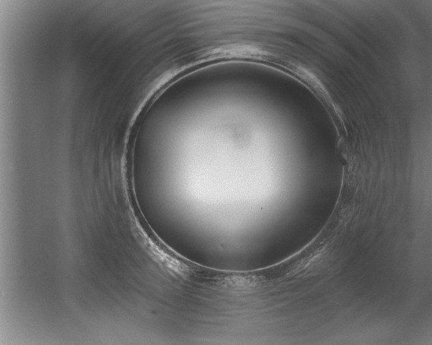 X0000060560947200511070944