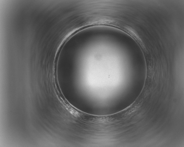 X0000060560948200511070944