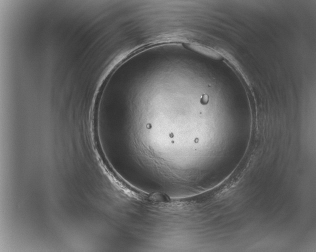 X0000060560949200511070944