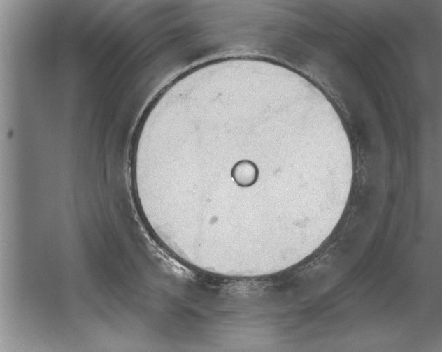 X0000060560950200511070944