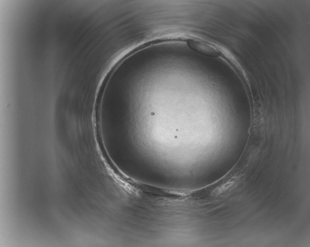 X0000060560951200511070944