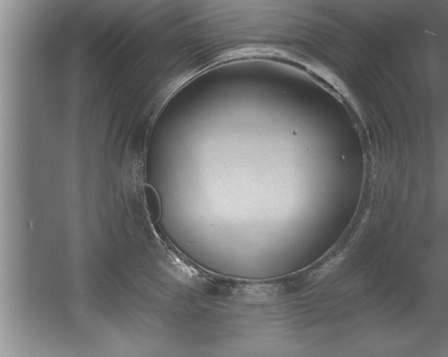 X0000060560953200511070944