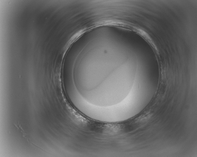 X0000060560954200511070944