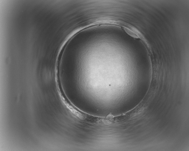 X0000060560955200511070944