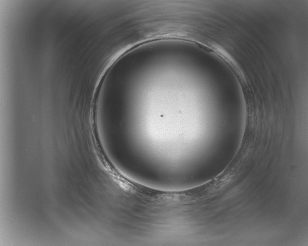 X0000060560956200511070944