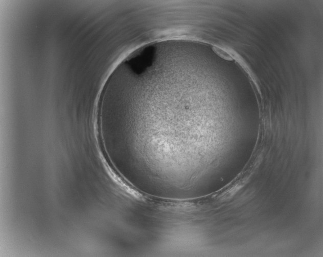 X0000060560957200511070944