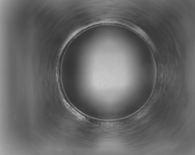 X0000060560958200511070944