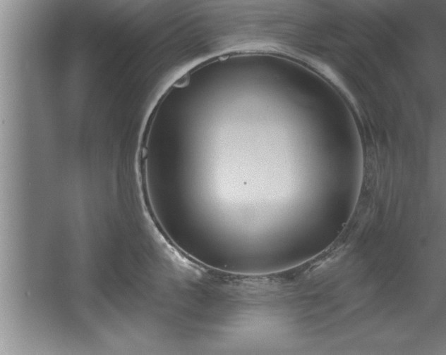 X0000060560959200511070944