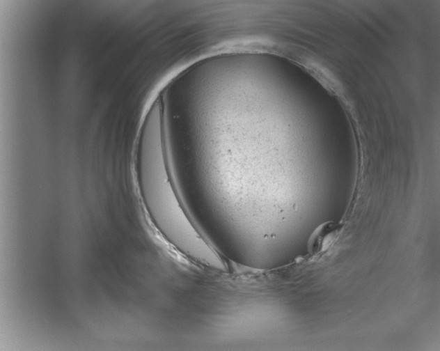 X0000060560960200511070944