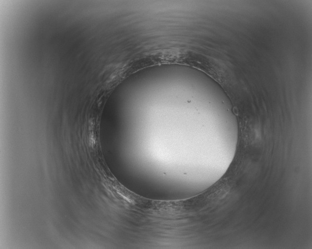 X0000060560962200511070943