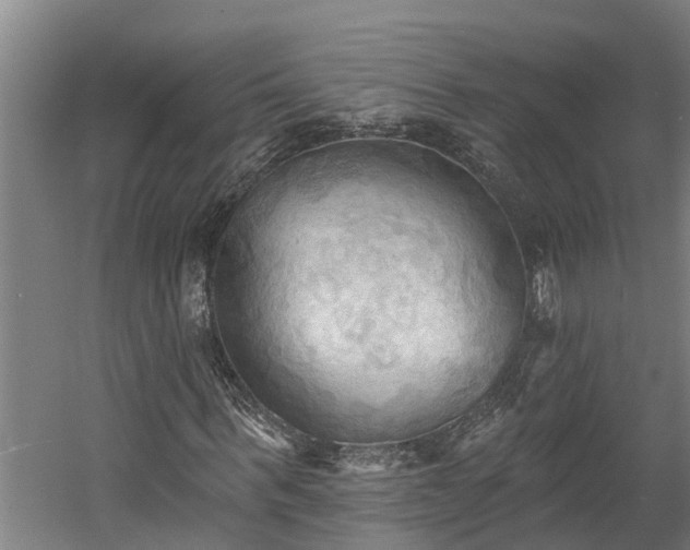 X0000060560963200511070943