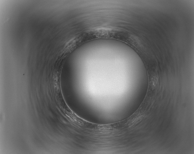 X0000060560964200511070943