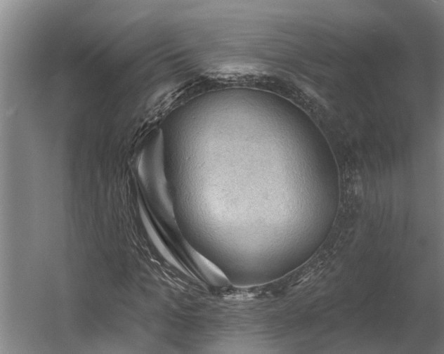 X0000060560965200511070943