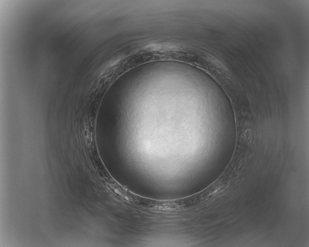 X0000060560966200511070943