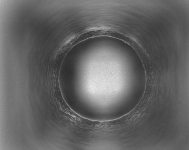 X0000060560967200511070943