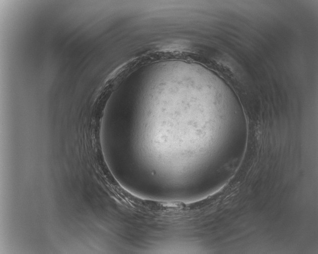 X0000060560968200511070943