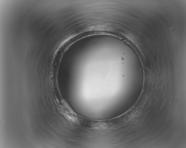 X0000060560971200511070943