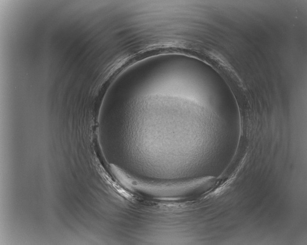 X0000060560977200511070943