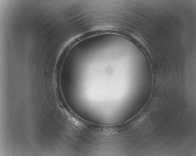 X0000060560979200511070943