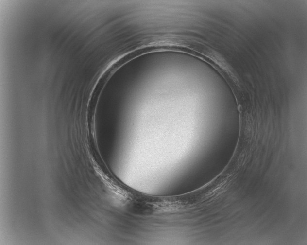 X0000060560980200511070943