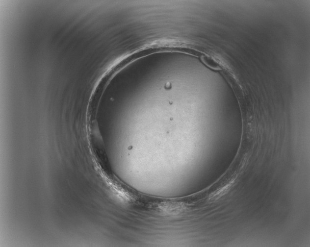 X0000060560981200511070943