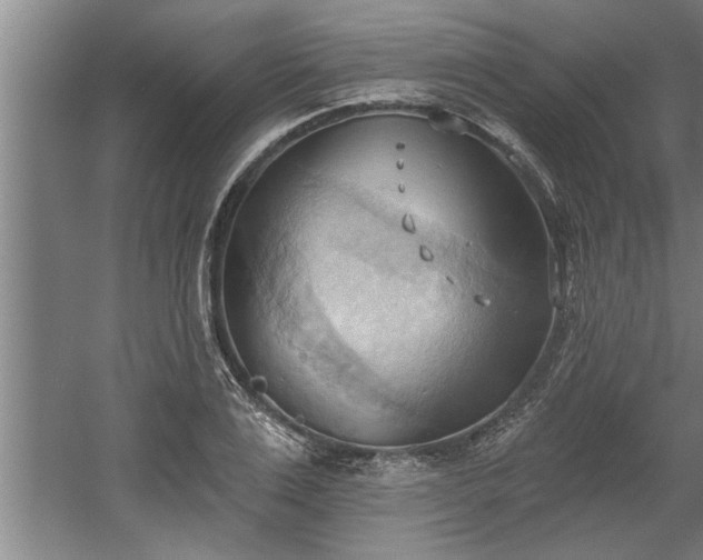 X0000060560983200511070943