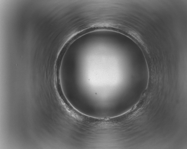 X0000060560984200511070943