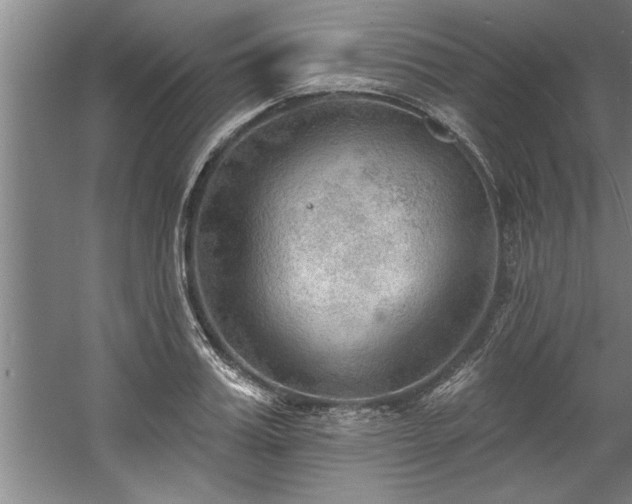 X0000060560987200511070943