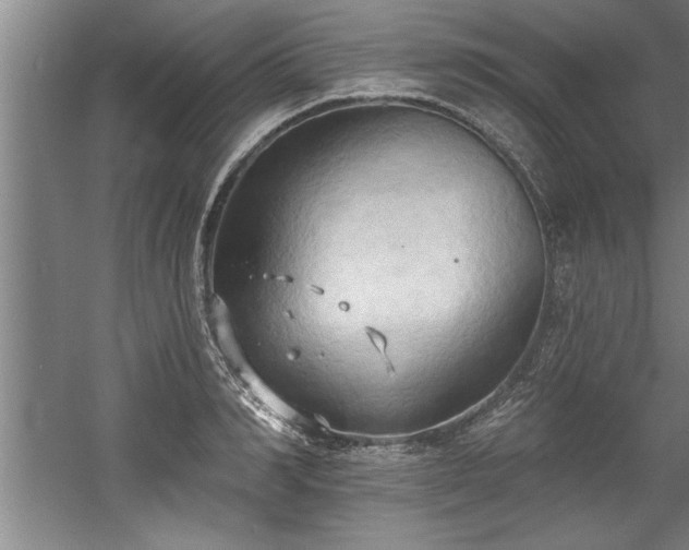 X0000060560990200511070943