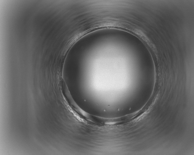 X0000060560993200511070943