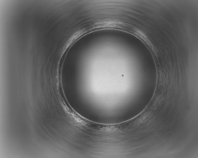 X0000060560994200511070943