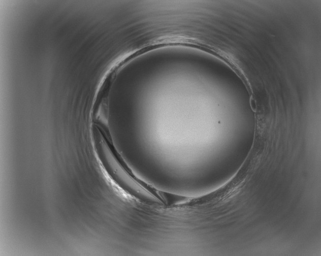 X0000060560995200511070943