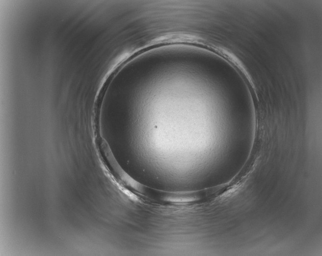 X0000060560997200511070943