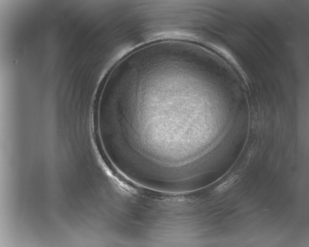 X0000060560999200511070943