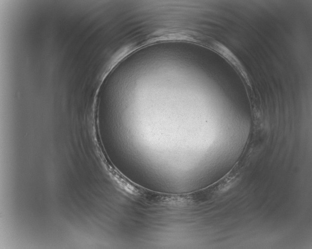 X0000060561002200511070943