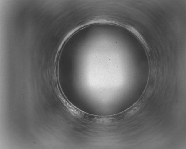 X0000060561004200511070943