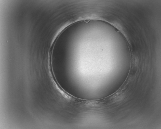 X0000060561006200511070943