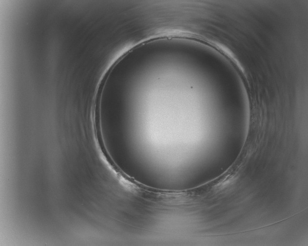 X0000060561007200511070942