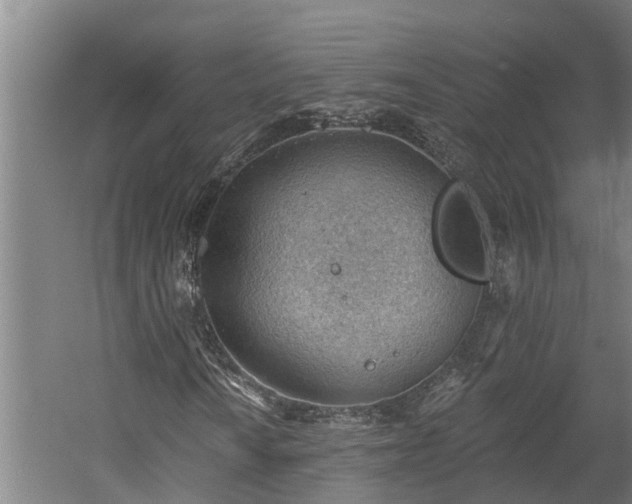 X0000060561010200511070942