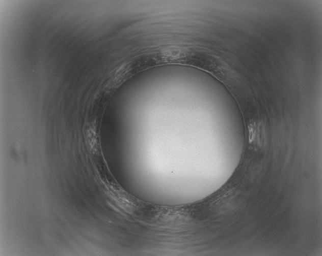 X0000060561011200511070942