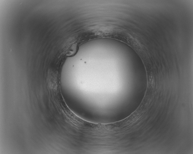 X0000060561012200511070942