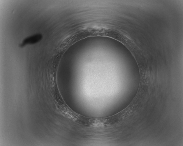 X0000060561013200511070942