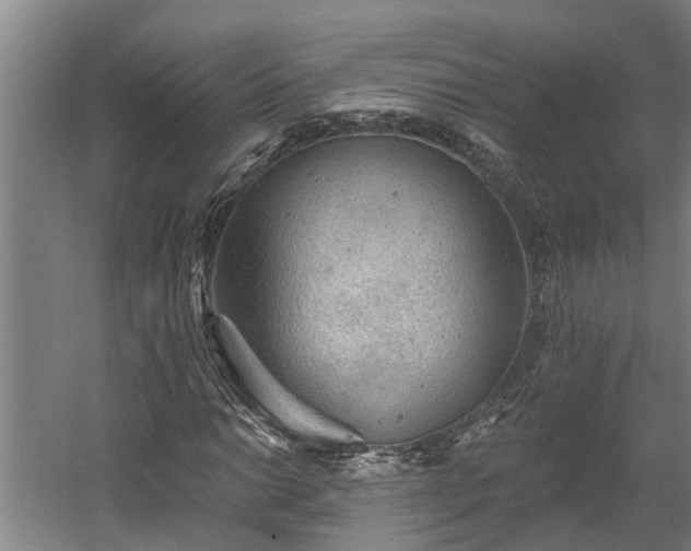 X0000060561014200511070942