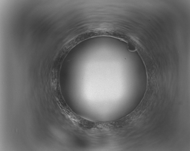 X0000060561015200511070942