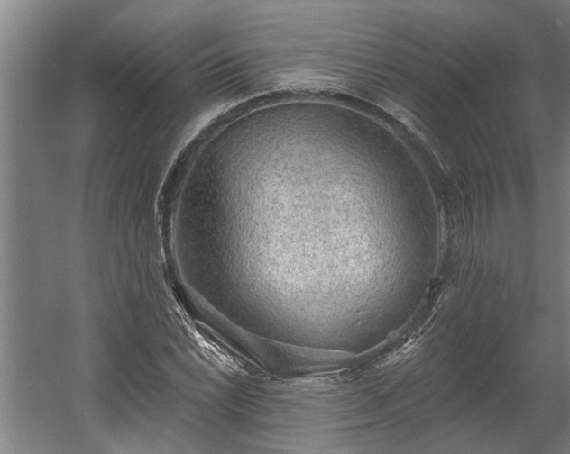 X0000060561022200511070942