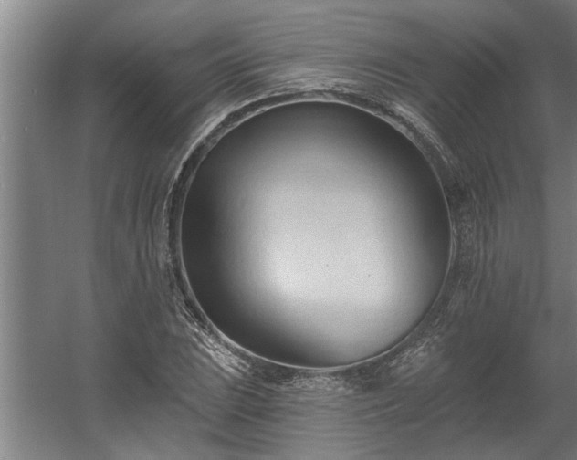 X0000060561023200511070942