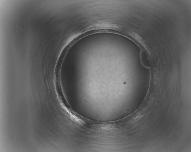 X0000060561024200511070942