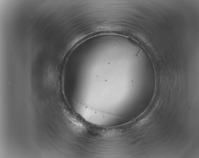 X0000060561025200511070942