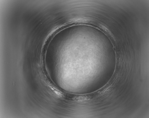 X0000060561027200511070942