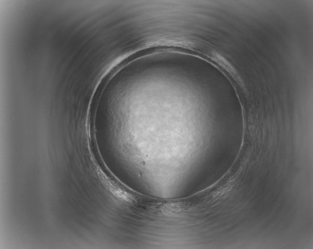 X0000060561028200511070942